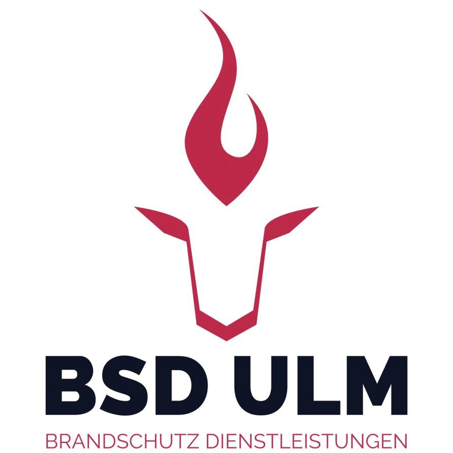BSD Ulm Brandschutz Dienstleistungen - Logo
